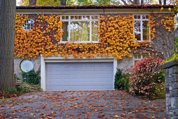 house with ivy in fall © Spiroview Inc.