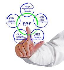 Enterprise Resource Management