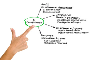 Obraz premium IT Compliance