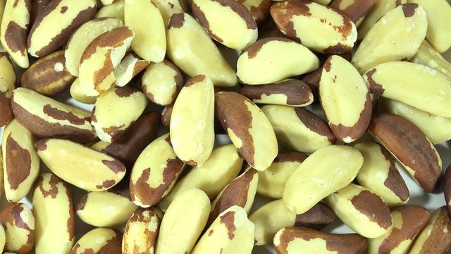Portion of Brazil Nuts (seamless loopable)