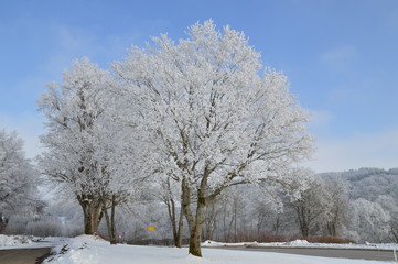 Winter in Treffelhausen