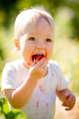 Little child with strawberry