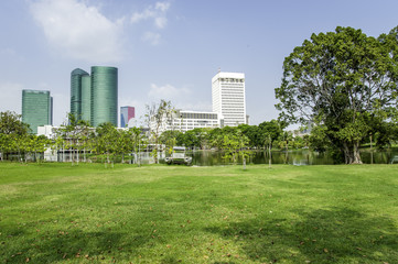 Obraz premium Park at sunny day