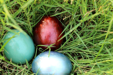 Colorful easter eggs hidden in dense grasses.