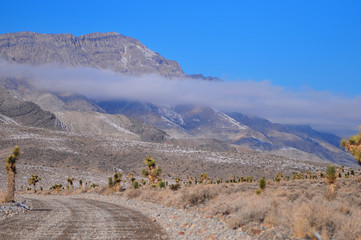 road to racetrack playa