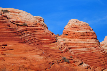 trail to the wave arizona