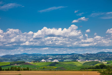 Typical summer rural landscape of Tuscany, Italy