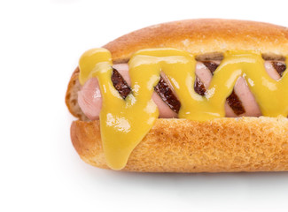 Tasty grilled hotdog
