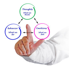Relationship between cognition, emotions, and behavior