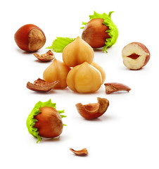 Forest nuts hazelnuts