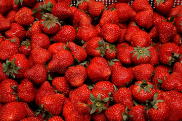 many strawberries