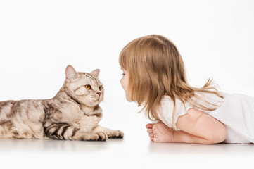 Little girl with a British cat, on a gray background