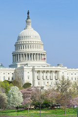 Obraz premium Washington DC, United States Capitol Building in Spring