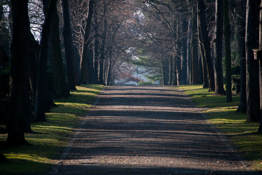 Friedhofsallee #0398