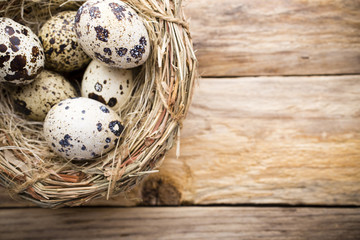 Quail eggs. Easter greeting card.