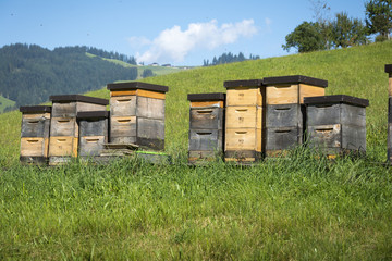 Bienenkörbe, Tirol