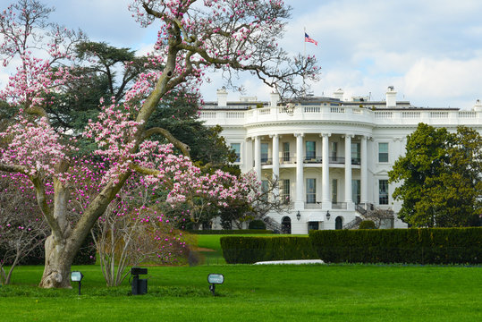 White House in Spring - Washington DC USA
