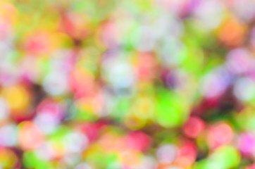 light bokeh as christmas background