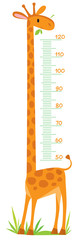 Naklejka premium Giraffe meter wall
