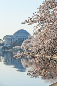 Washington DC - Thomas Jefferson Memorial in Spring