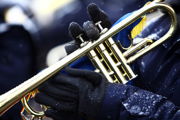 Winter trumpet © bizoo_n