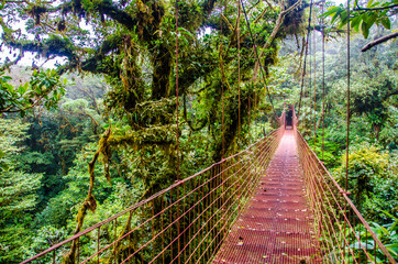 Bridge in Rainforest - Costa Rica - Monteverde