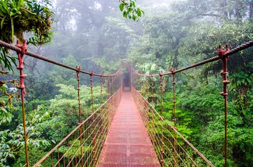 Foto op Aluminium Brug in regenwoud - Costa Rica - Monteverde © Simon Dannhauer
