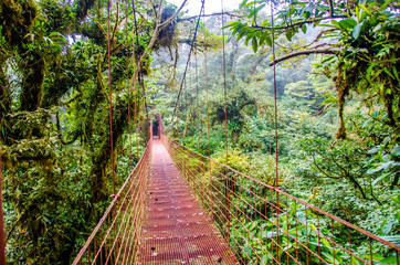 Fototapety  Bridge in Rainforest - Costa Rica - Monteverde