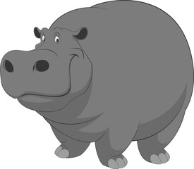 Fototapeta premium Funny hippo