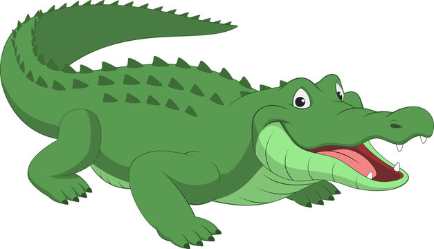Funny crocodile