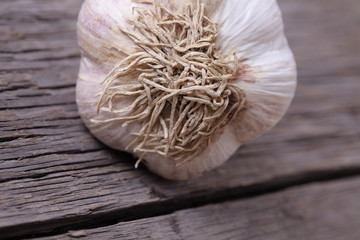 Bulb of garlic on old wood texture