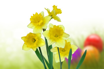 Fototapeta premium Ostern 19
