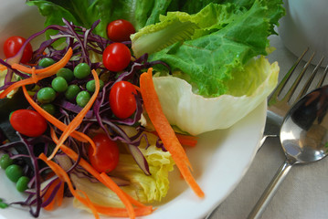 vegetarian or clean foods for diet and healthy
