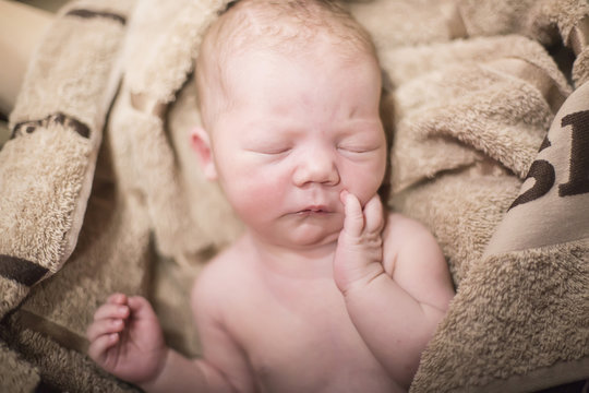 newborn european white girl in a brown towel
