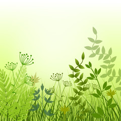 Summer meadow background - 79143990
