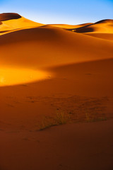 Sand Dunes in the Sahara Desert in Morocco
