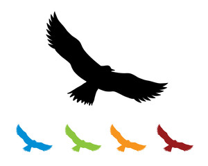 Obraz premium eagle silhouette in various color