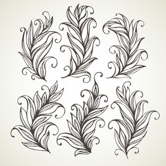 Feathers leaves. Hand drawn illustration