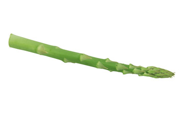 Fototapeta premium 포토시리즈