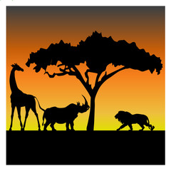 Fototapeta na wymiar Silhouettes of a giraffe, a rhino and a lion
