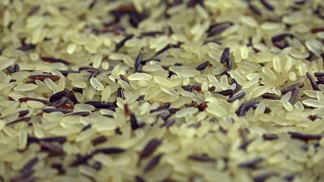 Raw mixed Rice (seamless loopable)