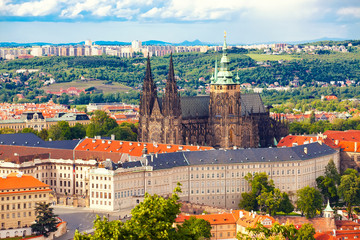 Naklejka premium Cathedral Saint Vitus in Prague