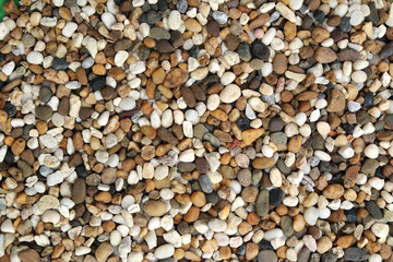 surface of pebble