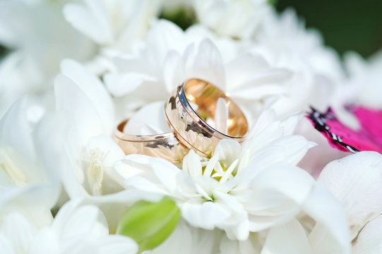 Wedding Rings on Flowers