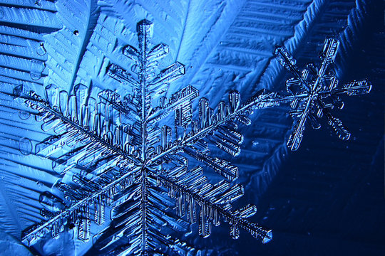 Fototapeta snowflake crystal blue background