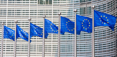 European flags in Brussels - 79156703