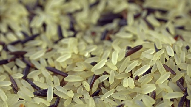 Raw mixed Rice (not loopable 4K UHD footage)