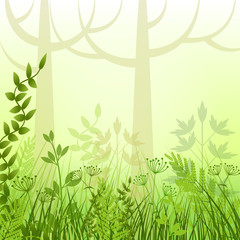 Meadow in forest, vector - 79157736