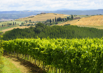 Fototapeta premium Crete Senesi (Tuscany, Italy)