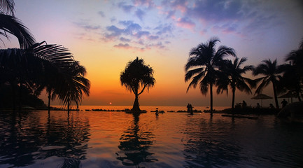 Fototapeta na wymiar palm sea sunset evening landscape journey